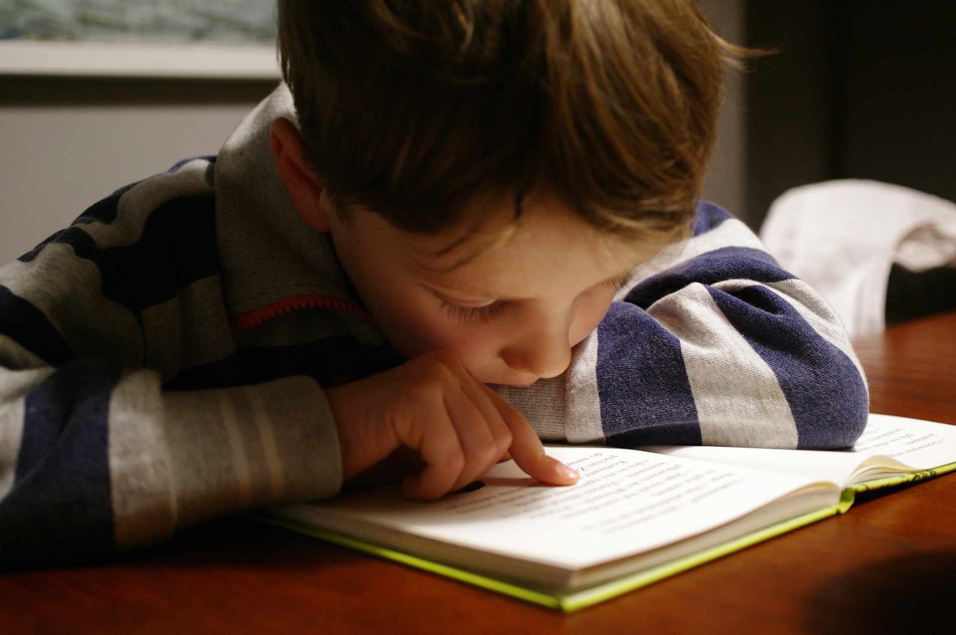 A parent and child reading together by a sunlit window
